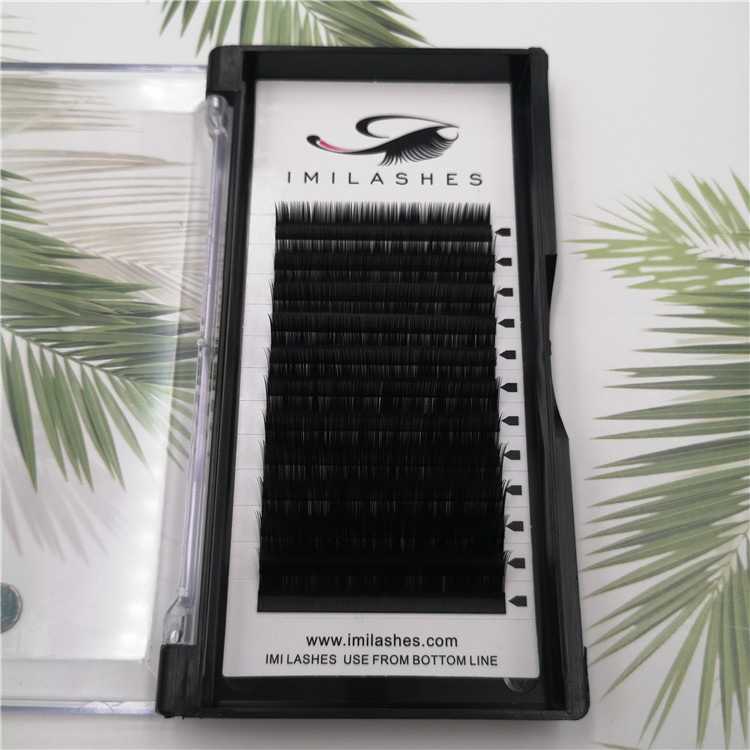 Korean PBT individual eyelash supplies wholesale - A